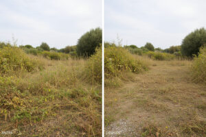 desbroce de terrenos en Vilanova i la Geltrú - antes y después limpieza de parcela (1)