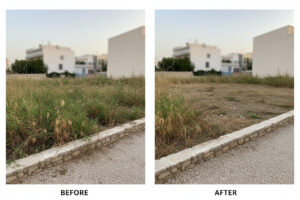 limpieza de terrenos en Olivella - desbroce de maleza y perímetro limpio (1)